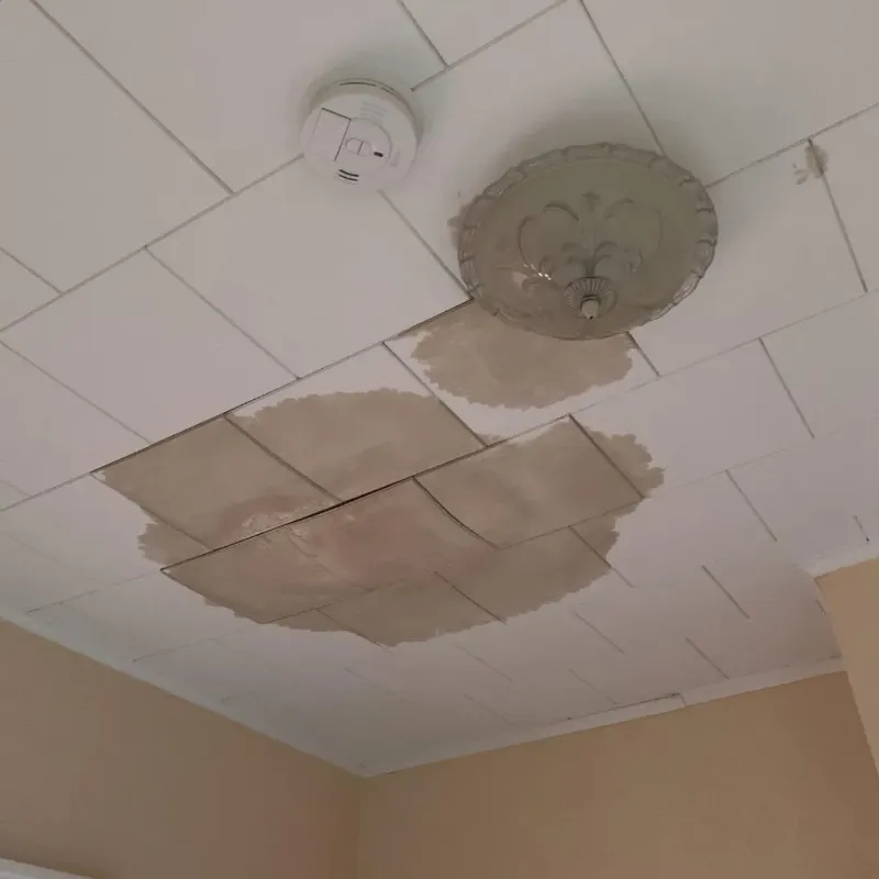 Ceiling Water Damage Repair in Wickenburg, AZ